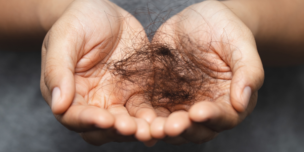 Hands holding shed hair strands, representing the damage and hair loss that can result from over-dyeing black hair